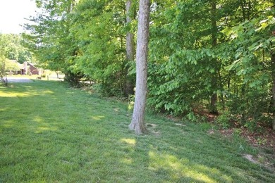 PRESTIGIOUS WALNUT RIDGE - LAKEFRONT LOT WITH DOCK & PAVED - photo 12