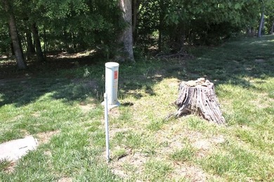 PRESTIGIOUS WALNUT RIDGE - LAKEFRONT LOT WITH DOCK & PAVED - photo 15