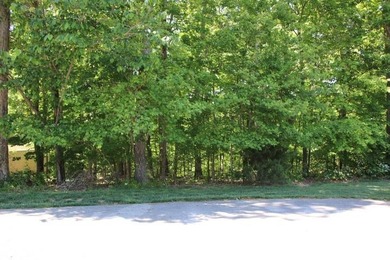 PRESTIGIOUS WALNUT RIDGE - LAKEFRONT LOT WITH DOCK & PAVED - photo 16