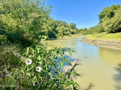 (private lake, pond, creek) Acreage For Sale in Rolling Fork Mississippi