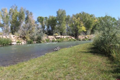 (private lake, pond, creek) Lot For Sale in Montrose Colorado