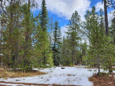 Lake Cascade  Lot Sale Pending in Donnelly Idaho