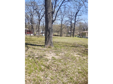 Build your dream home in this serene Cedar Creek Lake community! - photo 2