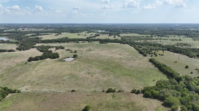 Lake Acreage For Sale in Savoy, Texas