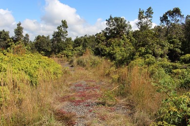 3 adjacent parcels in Ohia Estates giving you almost an acre of - photo 3