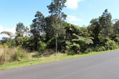 3 adjacent parcels in Ohia Estates giving you almost an acre of - photo 8