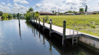 Build the Southwest Florida waterfront lifestyle you've been - photo 1
