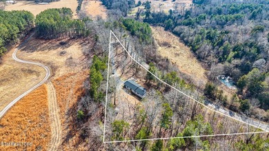 (private lake, pond, creek) Home For Sale in Niota Tennessee