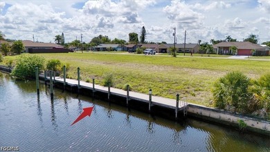 Build the Southwest Florida waterfront lifestyle you've been - photo 2