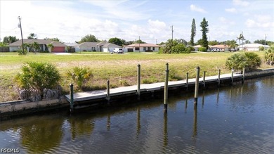 Build the Southwest Florida waterfront lifestyle you've been - photo 3
