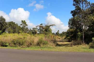 Arguably the 3 best side by side lots in all of Ohia Estates - photo 4