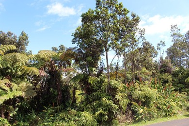 Arguably the 3 best side by side lots in all of Ohia Estates - photo 4