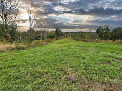 There are properties you see and then there are properties you - photo 7