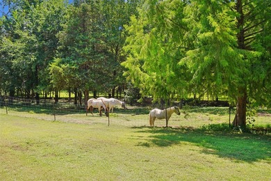 Experience refined country living at its finest in this - photo 4