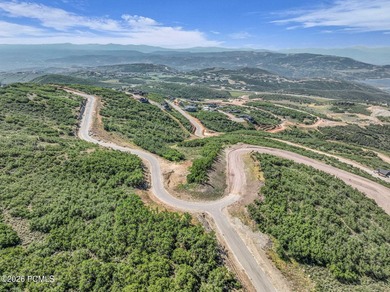 A private mountain retreat waiting to be constructed with - photo 15