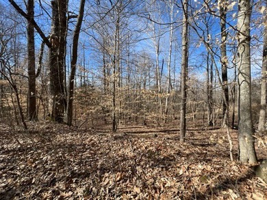 Nice wooded 1.25+/- acres with seasonal lakeview on Lake Barkley - photo 2