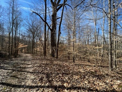 Nice wooded 1.25+/- acres with seasonal lakeview on Lake Barkley - photo 3