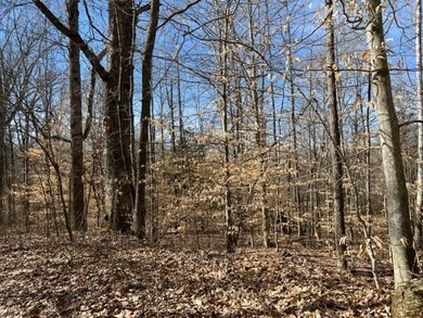 Nice wooded 1.25+/- acres with seasonal lakeview on Lake Barkley - photo 4