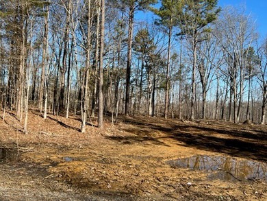 Nice wooded 1.25+/- acres with seasonal lakeview on Lake Barkley - photo 5