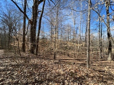 Nice wooded 1.25+/- acres with seasonal lakeview on Lake Barkley - photo 8