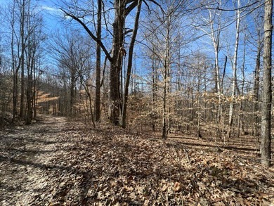 Nice wooded 1.25+/- acres with seasonal lakeview on Lake Barkley - photo 9