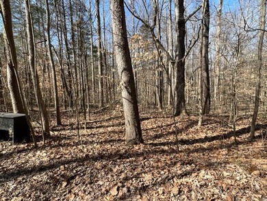 Nice wooded 1.25+/- acres with seasonal lakeview on Lake Barkley - photo 10