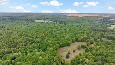 Experience the freedom of wide-open Texas living on this - photo 34