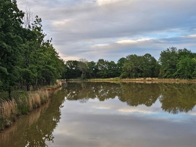 Experience the freedom of wide-open Texas living on this - photo 37