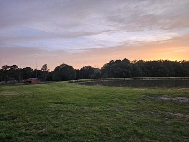 Experience the freedom of wide-open Texas living on this - photo 38