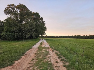 Experience the freedom of wide-open Texas living on this - photo 39
