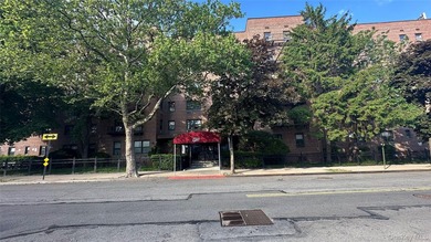 Immediately Available - Spacious Junior 4 Co-op Apartment for - photo 40