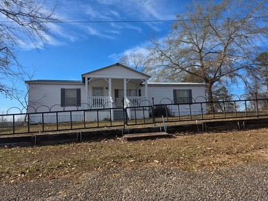 Lake Eufaula / Walter F. George Home For Sale in Georgetown Georgia