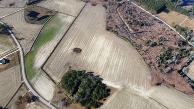 (private lake, pond, coastal) Acreage For Sale in Nichols South Carolina