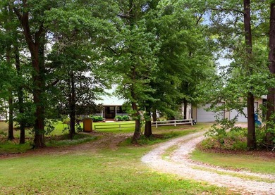 AMAZING Water Views PLUS 2 Lots PLUS 2 Docks! MOTIVATED - photo 3