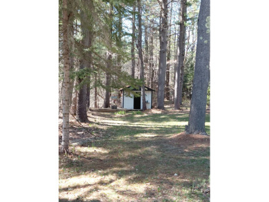 "In the Avenues" E. Caroga Lake deeded access - photo 8