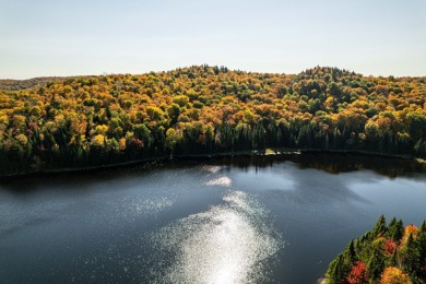  Lot For Sale in Saint-Adolphe-d'Howard 