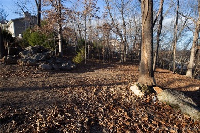 A great lot with a lake view on a cul-de-sac and all of the - photo 11