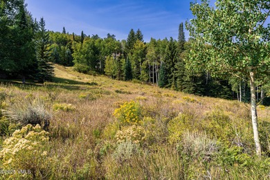 Beautifully situated homesite directly across from the Summit