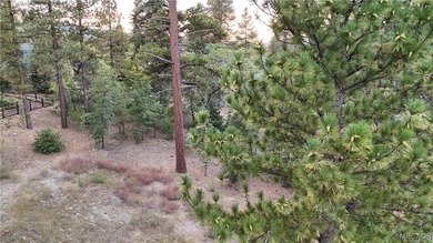 Pre-sale new construction in The Pines, Big Bear Lake's premier - photo 12