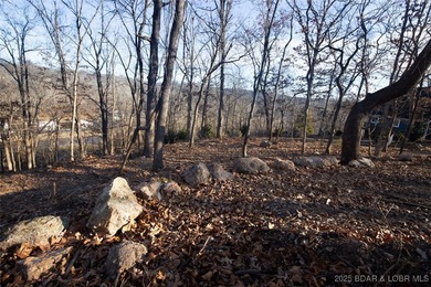 A great lot with a lake view on a cul-de-sac and all of the - photo 12