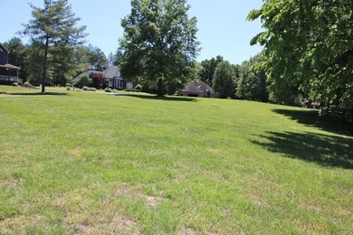 DOCK, LAKE FRONT & YEAR-ROUND LAKE VIEW! LOT HAS 492' OF ROAD - photo 12