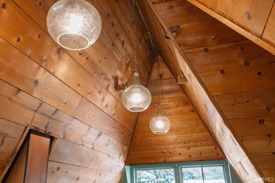Perched above the street, this charming alpine-style cabin - photo 12
