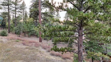 Pre-sale new construction in The Pines, Big Bear Lake's premier - photo 13
