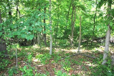 DOCK, LAKE FRONT & YEAR-ROUND LAKE VIEW! LOT HAS 492' OF ROAD - photo 13