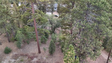 Pre-sale new construction in The Pines, Big Bear Lake's premier - photo 14