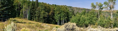 Beautifully situated homesite directly across from the Summit