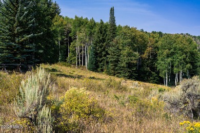 Beautifully situated homesite directly across from the Summit
