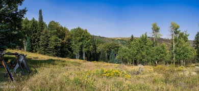 Beautifully situated homesite directly across from the Summit