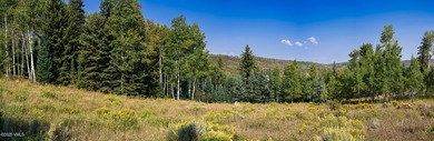 Beautifully situated homesite directly across from the Summit