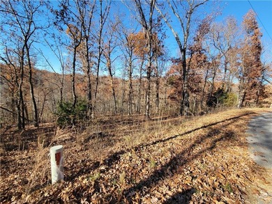 Lake Ann Lot For Sale in Bella Vista Arkansas